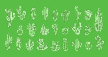 cactus ensemble avec fleurs sur vert Contexte. main tiré illustration dans griffonnage style.vecteur illustration. vecteur