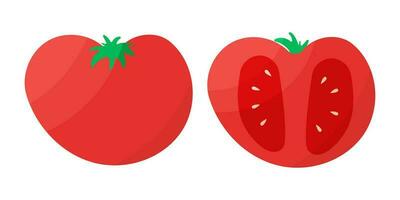 tomate rouge pièce entier légume nourriture ensemble vecteur