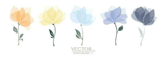 ensemble de coloré floral collection vecteur