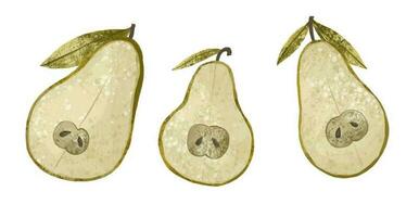 fruit illustration abstrait poire sur blanc Contexte. juteux des poires. vert poire et moitié de poire illustration vecteur