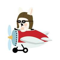 pilote lapin en volant avion dessin animé vecteur