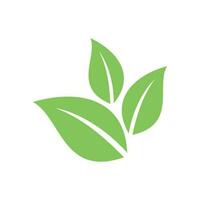 vert feuille vecteur, éco feuilles spa logo modèle vecteur