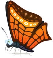 Papillon vecteur