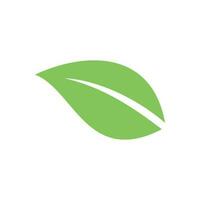 vert feuille vecteur, éco feuilles spa logo modèle vecteur