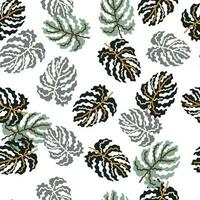 abstrait tropical monstera feuilles sans couture modèle. jungle paume feuille décoratif toile de fond. vecteur
