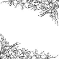 main tiré vecteur encre orchidée fleurs et branches, monochrome, détaillé contour. carré Cadre composition. isolé sur blanc Contexte. conception pour mur art, mariage, imprimer, tatouage, couverture, carte.