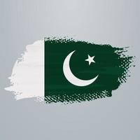 brosse drapeau pakistan vecteur