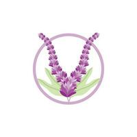 lavande logo, violet plante vecteur, jardin conception, illustration symbole modèle vecteur