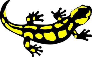 Salamandre tachetée reptile amphibien vector illustration