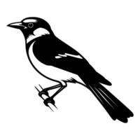 bleu geai silhouette, bleu geai mascotte logo, bleu geai noir et blanc animal symbole conception, oiseau icône. vecteur