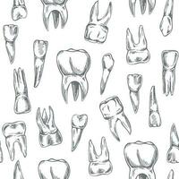 dessiné à la main vecteur sans couture modèle de dents. les dents esquisser. différent les types de Humain dent. dentaire se soucier.