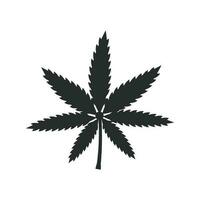 marijuana feuille icône vecteur conception illustration cannabis symbole