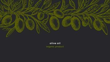 olive ancien frise vecteur main tiré bio modèle