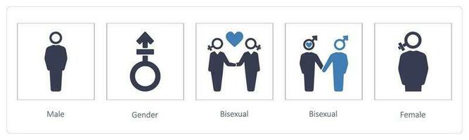 homme, genre, bisexuel vecteur