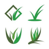 herbe vert logo vecteur