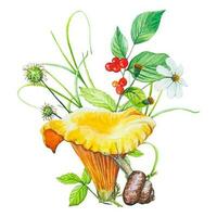 forêt aquarelle composition. illustration avec champignon, sauvage baies, herbes, escargot. vecteur