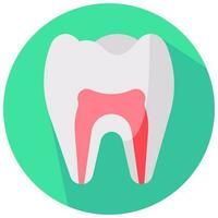 dent anatomie vecteur rond plat icône