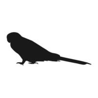 perruche oiseau icône vektor vecteur