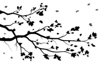 arbre de branche noire ou ensemble de silhouettes d'arbres nus. illustrations isolées dessinées à la main. vecteur