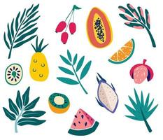 ensemble de fruits tropicaux et de feuilles. fruits exotiques et branches de palmiers. fruits biologiques d'été ou nourriture végétarienne. flore de la jungle. vecteur, isolé, icônes, illustration, dans, dessin animé, style vecteur