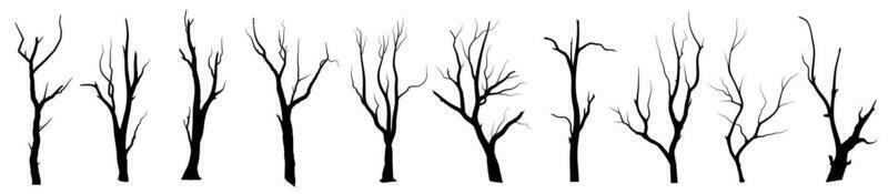 arbre de branche noire ou ensemble de silhouettes d'arbres nus. illustrations isolées dessinées à la main. vecteur