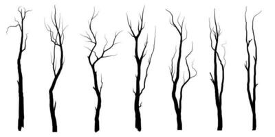 arbre de branche noire ou silhouettes d'arbres nus. illustrations isolées dessinées à la main. vecteur