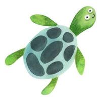 mer tortue. aquarelle illustration dans dessin animé style. vecteur