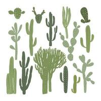 cactus et succulent collection. main tiré Facile illustration vecteur