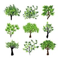 vert des arbres vecteur illustration ensemble. ensemble de variété les plantes et des arbres. des arbres collection dans main tiré