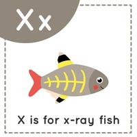 apprendre l'alphabet anglais pour les enfants. lettre x. poisson de rayon x de dessin animé mignon. vecteur