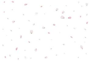 Sakura en volant pétales, romantique Contexte. vecteur