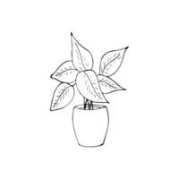 intérieur mis en pot plante isolé sur blanche. vecteur plante dans une pot, pot de fleur illustration.