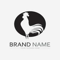 poulet logo coq et poule logo pour la volaille agriculture animal logo vecteur illustration conception