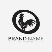 poulet logo coq et poule logo pour la volaille agriculture animal logo vecteur illustration conception