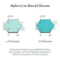 alpha contre bêta glucose chimie vecteur illustration diagramme