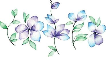 aquarelle dessin. ensemble de abstrait transparent fleurs et feuilles. bleu et violet fleurs, clipart vecteur