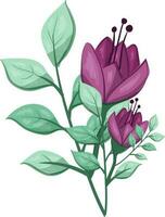 illustration de une violet fleur avec vert feuilles sur une blanc Contexte vecteur