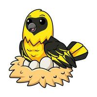mignonne tisserand oiseau dessin animé avec des œufs dans le nid vecteur