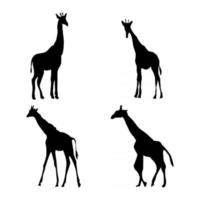 vecteur de silhouette animale girafe