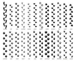 gros ensemble de empreintes de national et sauvage animaux. Icônes, esquisser, vecteur