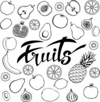 vecteur de fond d'aliments sains. affiche ou bannière avec des fruits faits à la main et des fruits de lettrage.