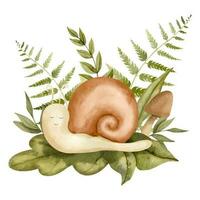 escargot avec fougère et forêt les plantes. main tiré aquarelle illustration de mignonne dessin animé personnage sur blanc isolé Contexte pour bébé douche salutation cartes ou invitations. esquisser de spirale limace vecteur