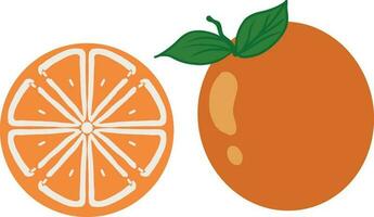 Orange fruit tranche et modèle vecteur illustration
