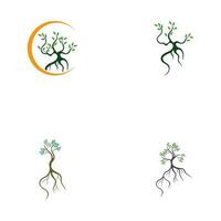 mangrove logo symbole vecteur