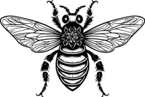 abeille - noir et blanc isolé icône - vecteur illustration