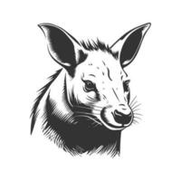 Aardvark, ancien logo ligne art concept noir et blanc couleur, main tiré illustration vecteur