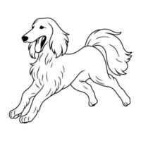 afghan chien, main tiré dessin animé personnage, chien icône. vecteur