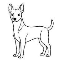 basenji, main tiré dessin animé personnage, chien icône. vecteur