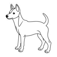 basenji, main tiré dessin animé personnage, chien icône. vecteur