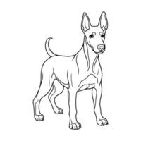 doberman chien, main tiré dessin animé personnage, chien icône. vecteur